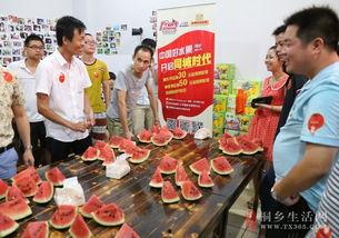 桐乡吃瓜直播,带你领略当地美食风情 第1张 桐乡吃瓜直播,带你领略当地美食风情 第1张